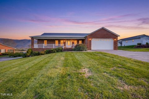 Photo of 300 Riverview Drive, Church Hill, TN 37642 (MLS # 9992953)