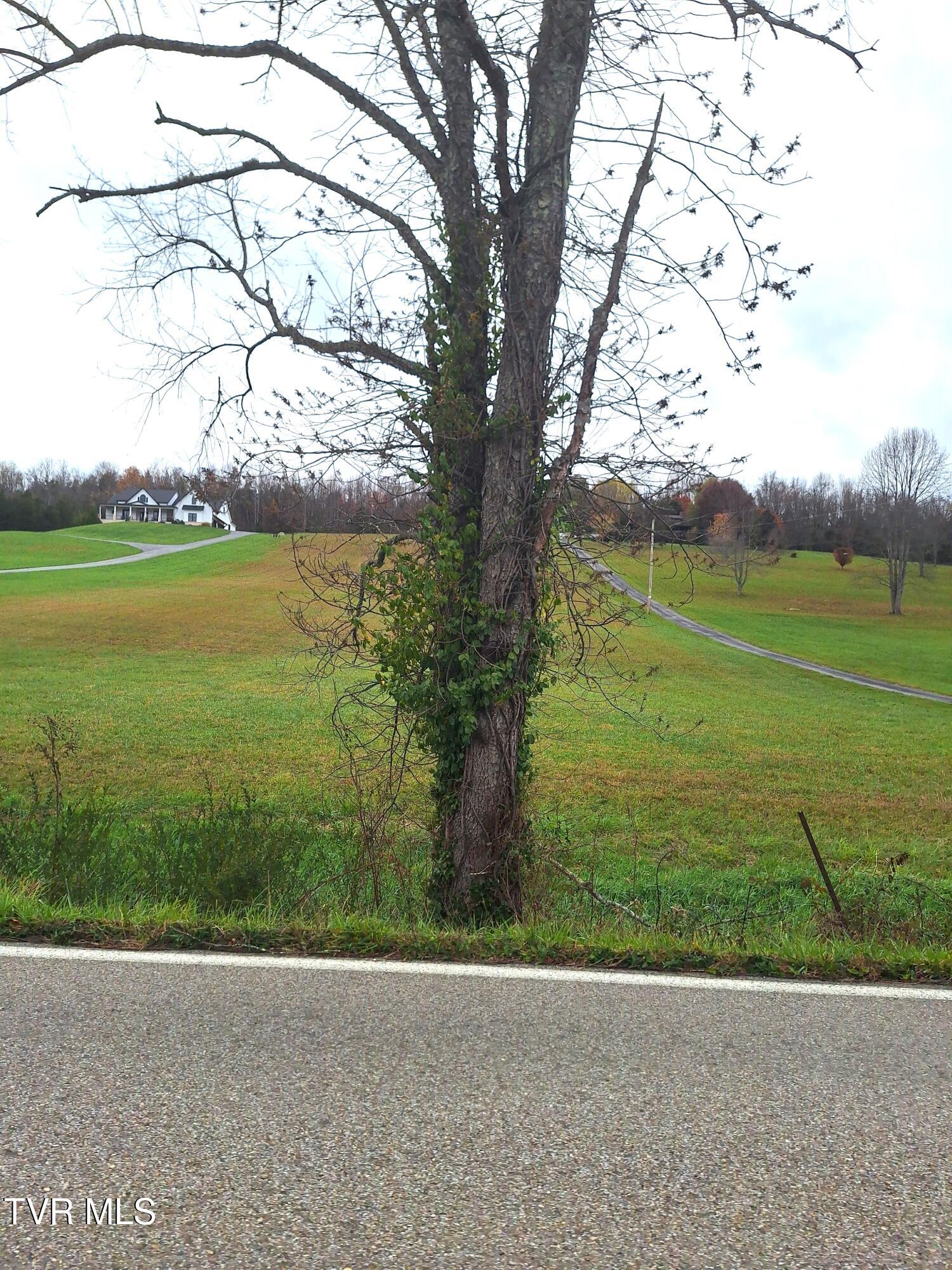 Tbd Carroll Creek Road, Johnson City, Tennessee image 7