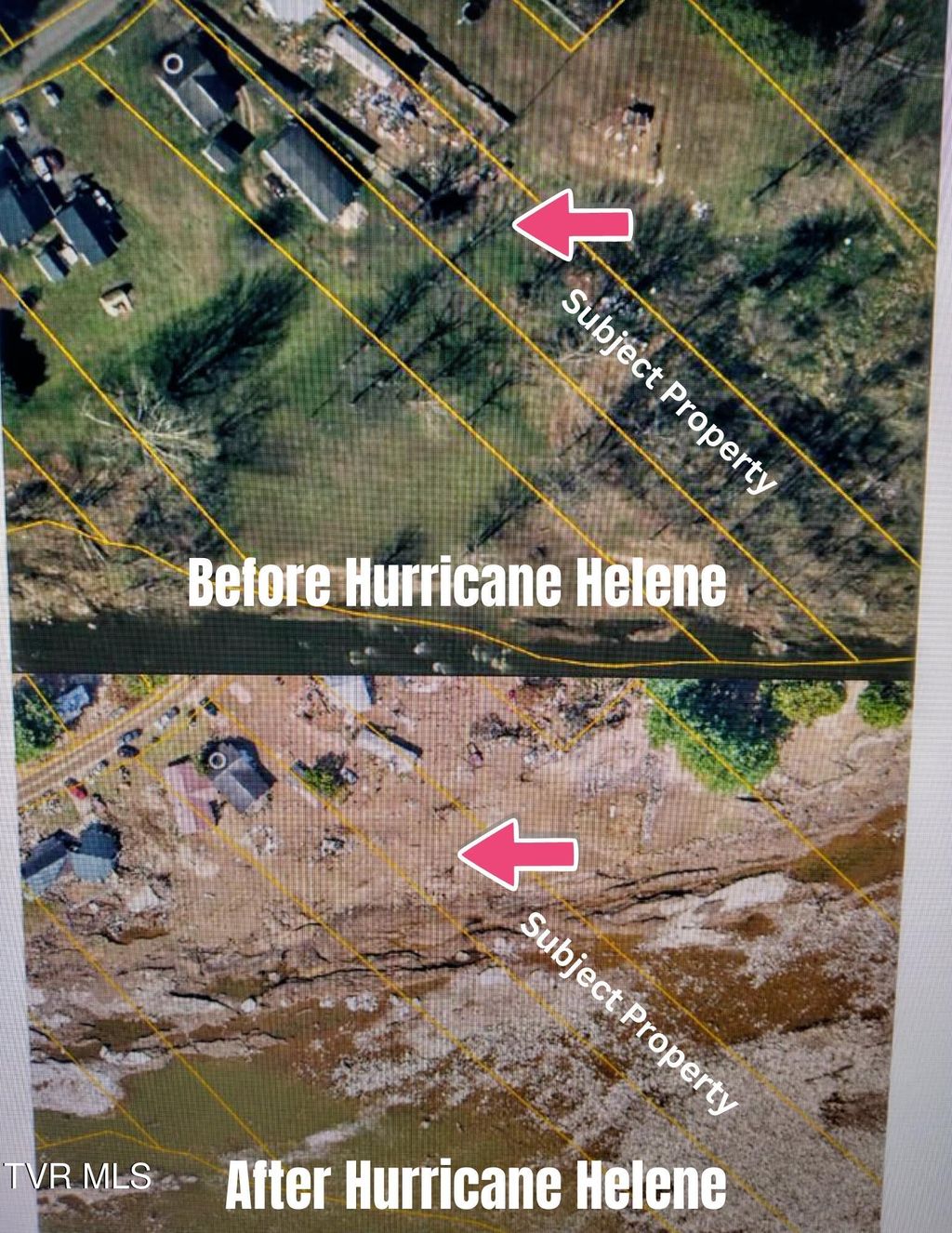 Photo of 168 Bumpus Cove Road, Erwin, TN 37650 (MLS # 9991052)