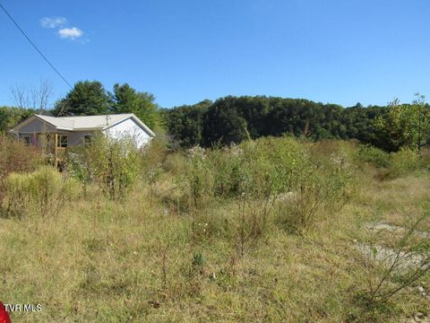 Vacant Land For Sale - 168 Bumpus Cove Road<br/> Erwin, TN 37650