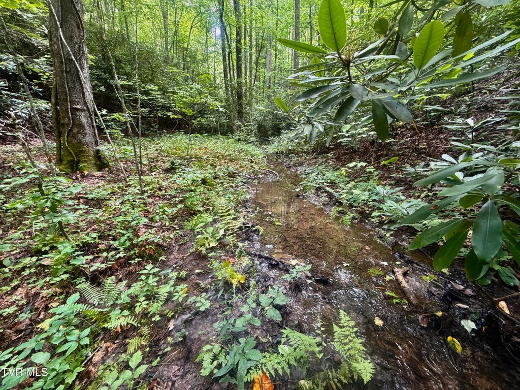 Photo of 3260 Gulf Road, Hartford, TN 37753 (MLS # 9985727)