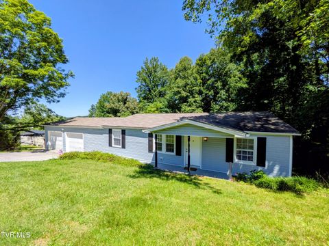 Photo of 128 Holly Hills Road, Jonesborough, TN 37659 (MLS # 9996366)