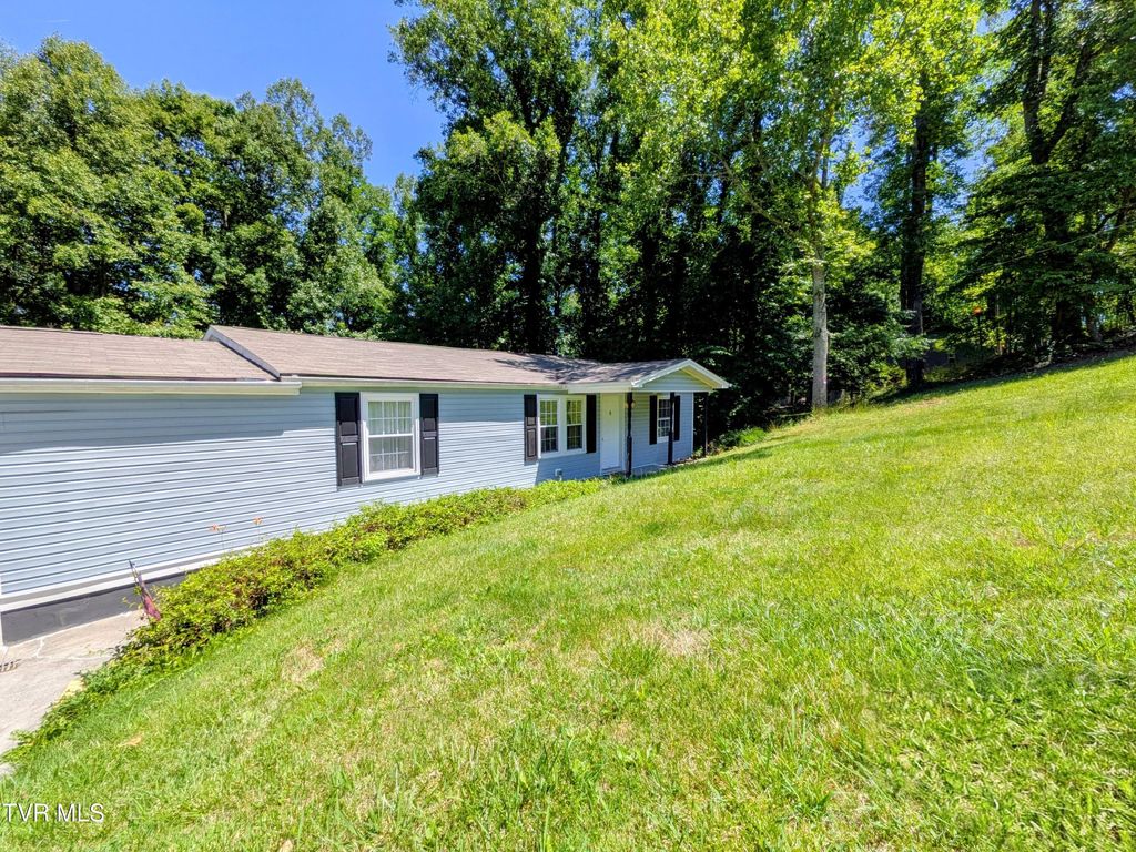 Photo of 128 Holly Hills Road, Jonesborough, TN 37659 (MLS # 9996366)