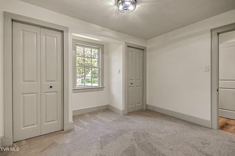 Tiny photo for 496 Pleasant Grove Road, Bluff City, TN 37618 (MLS # 9986498)