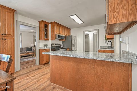 Tiny photo for 496 Pleasant Grove Road, Bluff City, TN 37618 (MLS # 9986498)