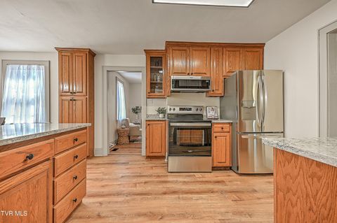 Tiny photo for 496 Pleasant Grove Road, Bluff City, TN 37618 (MLS # 9986498)