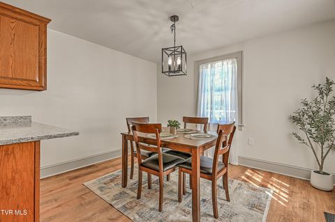 Tiny photo for 496 Pleasant Grove Road, Bluff City, TN 37618 (MLS # 9986498)