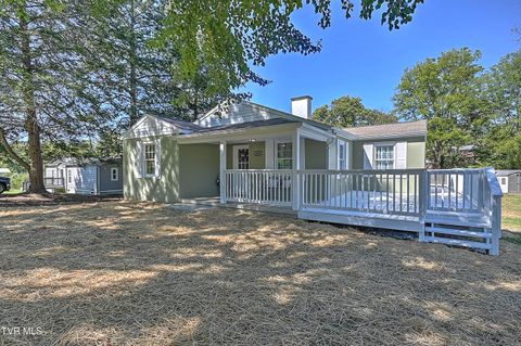 Tiny photo for 496 Pleasant Grove Road, Bluff City, TN 37618 (MLS # 9986498)