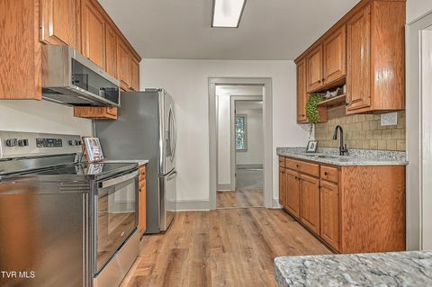 Tiny photo for 496 Pleasant Grove Road, Bluff City, TN 37618 (MLS # 9986498)