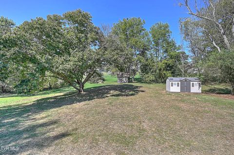 Tiny photo for 496 Pleasant Grove Road, Bluff City, TN 37618 (MLS # 9986498)