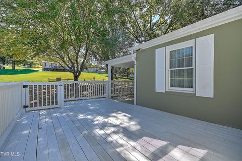 Tiny photo for 496 Pleasant Grove Road, Bluff City, TN 37618 (MLS # 9986498)