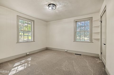 Tiny photo for 496 Pleasant Grove Road, Bluff City, TN 37618 (MLS # 9986498)