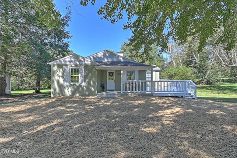 Tiny photo for 496 Pleasant Grove Road, Bluff City, TN 37618 (MLS # 9986498)