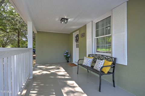 Tiny photo for 496 Pleasant Grove Road, Bluff City, TN 37618 (MLS # 9986498)