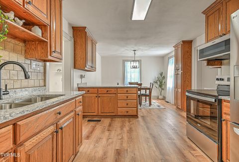 Tiny photo for 496 Pleasant Grove Road, Bluff City, TN 37618 (MLS # 9986498)