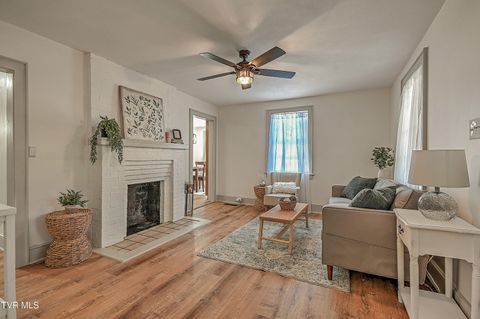 Tiny photo for 496 Pleasant Grove Road, Bluff City, TN 37618 (MLS # 9986498)