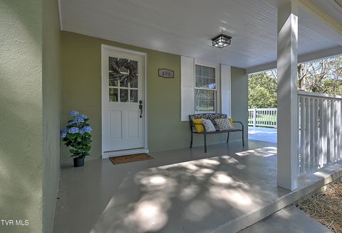 Tiny photo for 496 Pleasant Grove Road, Bluff City, TN 37618 (MLS # 9986498)