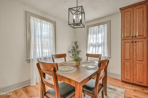 Tiny photo for 496 Pleasant Grove Road, Bluff City, TN 37618 (MLS # 9986498)