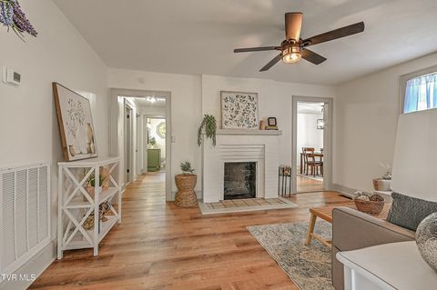 Tiny photo for 496 Pleasant Grove Road, Bluff City, TN 37618 (MLS # 9986498)