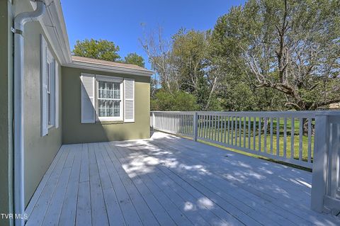 Tiny photo for 496 Pleasant Grove Road, Bluff City, TN 37618 (MLS # 9986498)