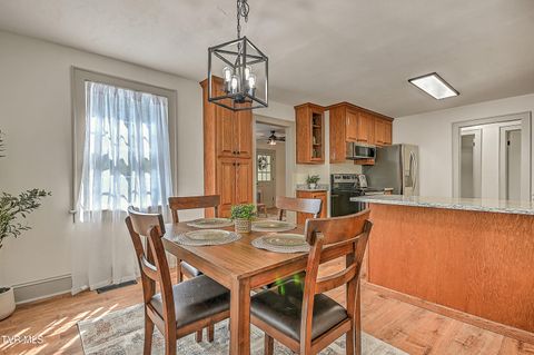 Tiny photo for 496 Pleasant Grove Road, Bluff City, TN 37618 (MLS # 9986498)