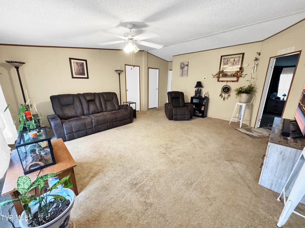 Photo of 3675 Glen Alpine Road, Kingsport, TN 37660 (MLS # 9999016)