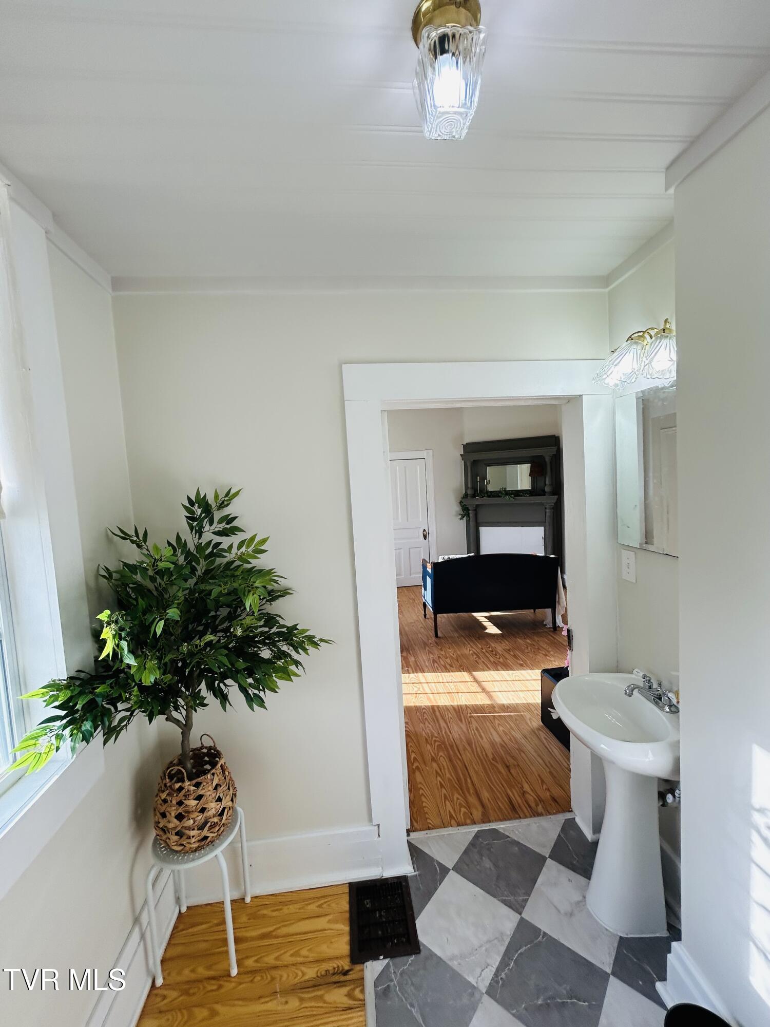 407 Irish Street, Greeneville, Tennessee image 42