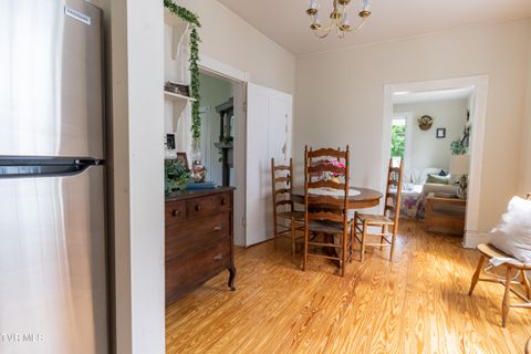 Tiny photo for 407 Irish Street, Greeneville, TN 37743 (MLS # 9980065)