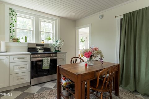 Tiny photo for 407 Irish Street, Greeneville, TN 37743 (MLS # 9980065)