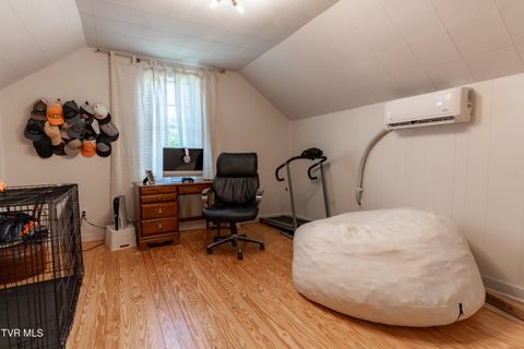 Tiny photo for 407 Irish Street, Greeneville, TN 37743 (MLS # 9980065)
