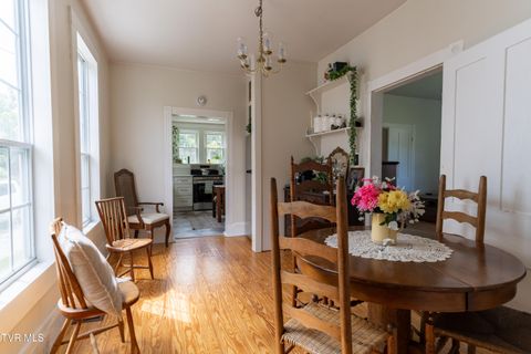 Tiny photo for 407 Irish Street, Greeneville, TN 37743 (MLS # 9980065)