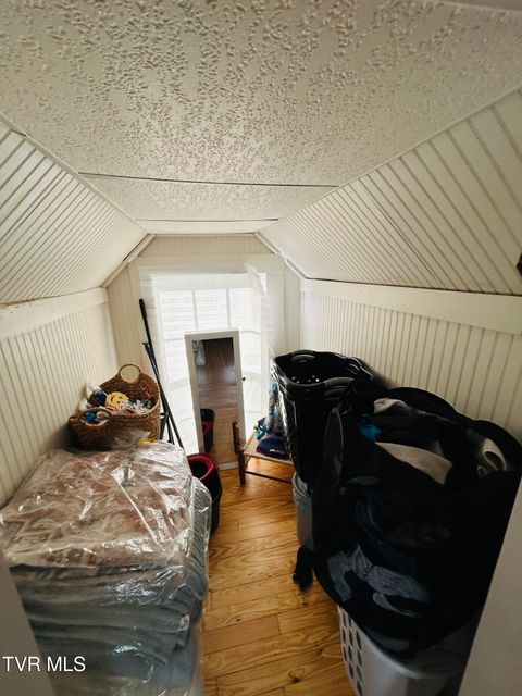 Tiny photo for 407 Irish Street, Greeneville, TN 37743 (MLS # 9980065)