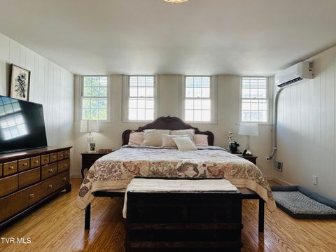 Tiny photo for 407 Irish Street, Greeneville, TN 37743 (MLS # 9980065)