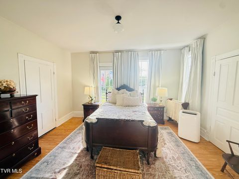 Tiny photo for 407 Irish Street, Greeneville, TN 37743 (MLS # 9980065)