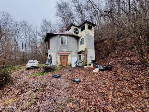 115 Old Cemetary Road Greeneville TN 37745