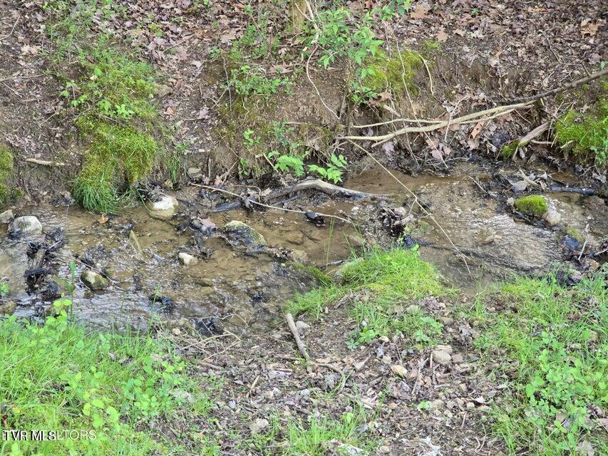 Tbd Boatmans Mountain Lot 2 Road, Morristown, Tennessee image 7