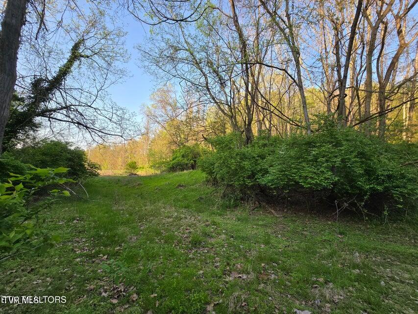 Tbd Boatmans Mountain Lot 2 Road, Morristown, Tennessee image 4