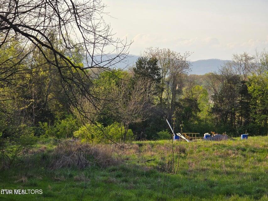 Tbd Boatmans Mountain Lot 2 Road, Morristown, Tennessee image 1
