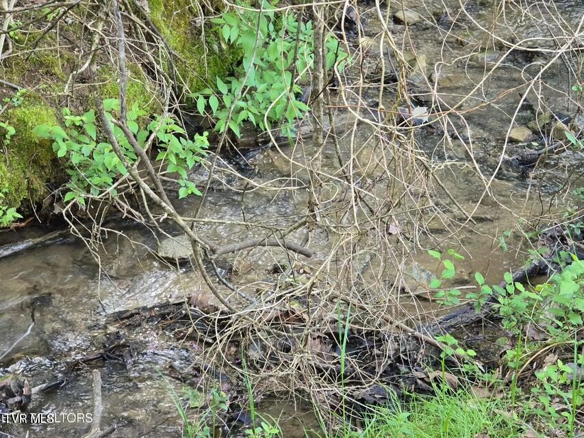 Tbd Boatmans Mountain Lot 2 Road, Morristown, Tennessee image 8