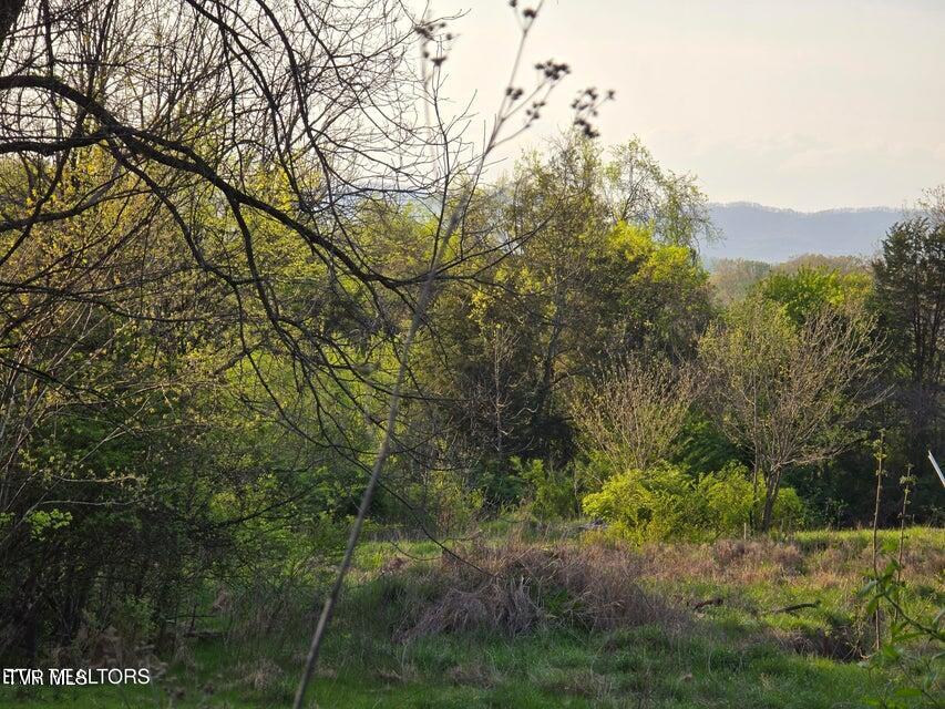 Tbd Boatmans Mountain Lot 2 Road, Morristown, Tennessee image 2