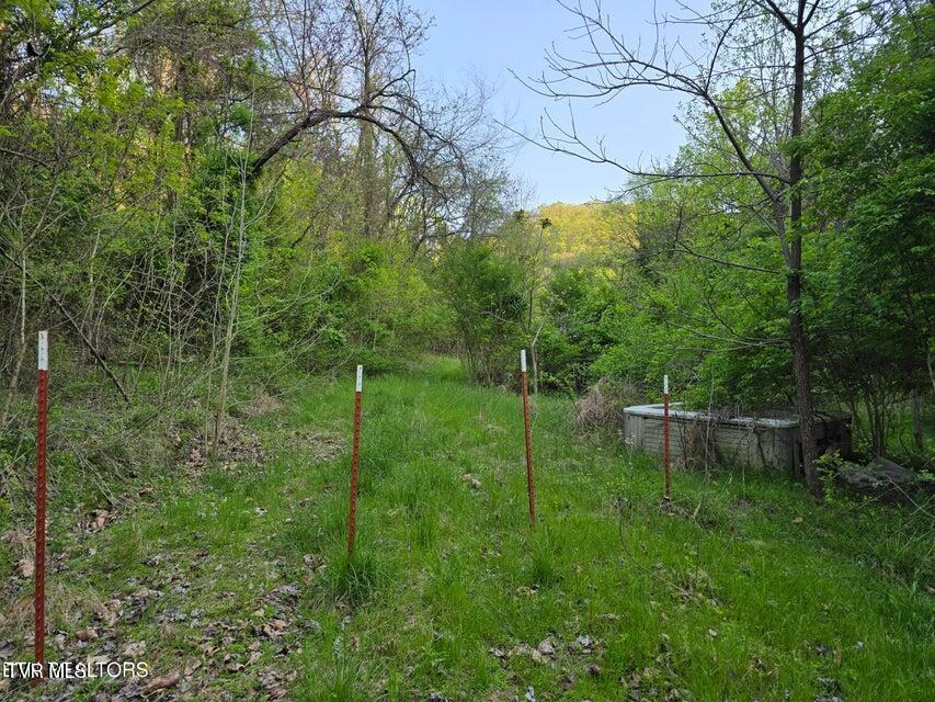 Tbd Boatmans Mountain Lot 2 Road, Morristown, Tennessee image 17