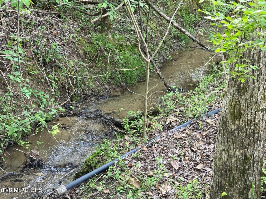 Tbd Boatmans Mountain Lot 2 Road, Morristown, Tennessee image 15