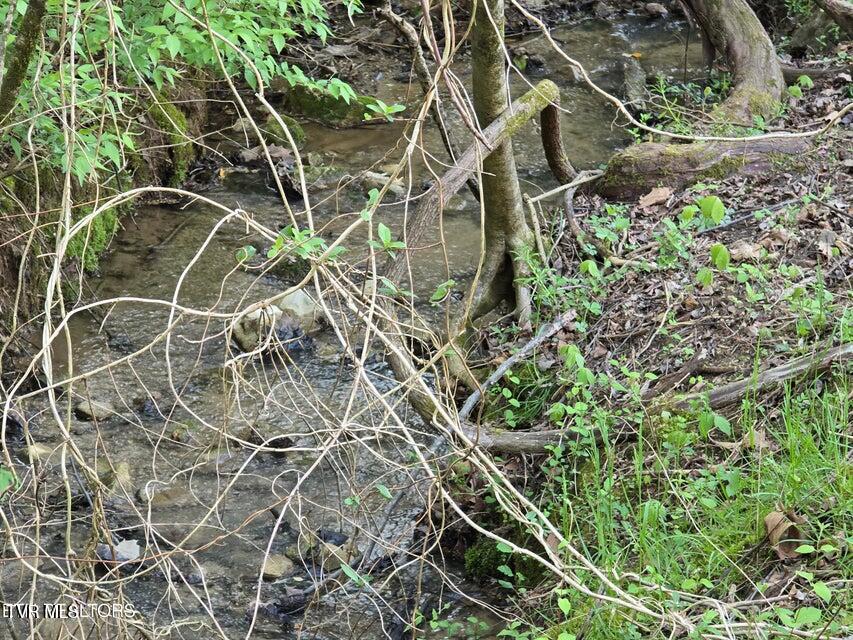 Tbd Boatmans Mountain Lot 2 Road, Morristown, Tennessee image 16