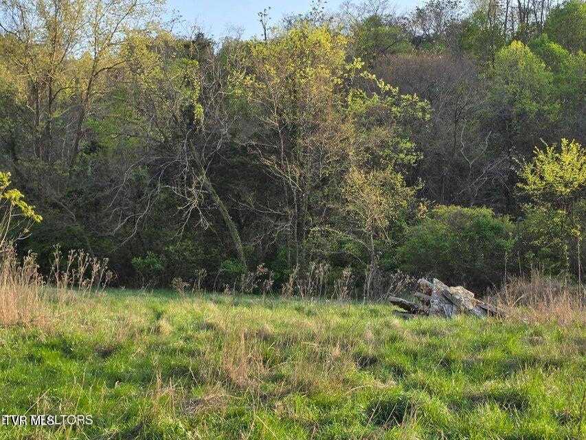 Tbd Boatmans Mountain Lot 2 Road, Morristown, Tennessee image 12