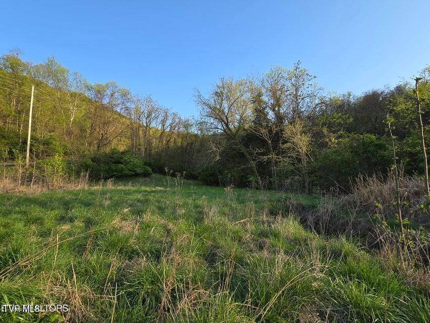Tbd Boatmans Mountain Lot 2 Road, Morristown, Tennessee image 11
