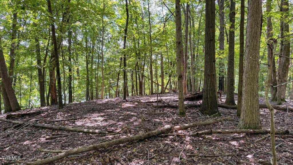 Photo of 1 Lake Point Drive, Piney Flats, TN 37686 (MLS # 9999860)