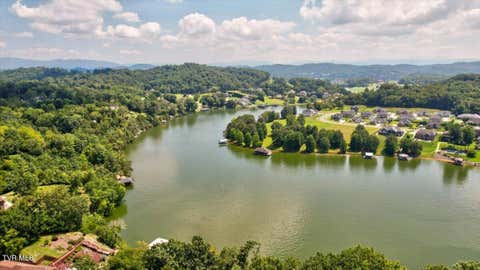 Vacant Land For Sale - LOT 1 Lake Point Drive<br/> Piney Flats, TN 37686