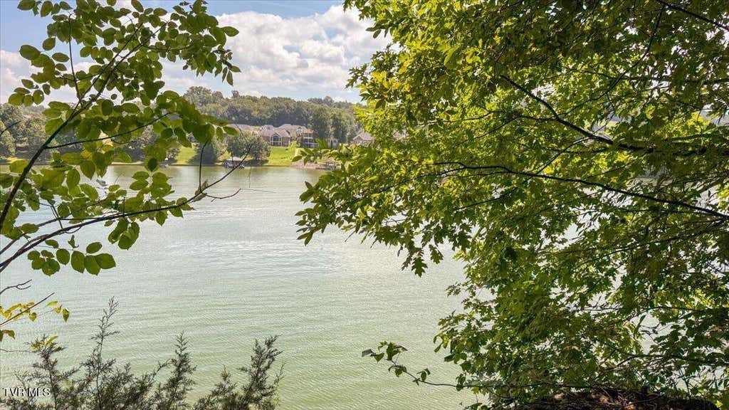 Photo of 1 Lake Point Drive, Piney Flats, TN 37686 (MLS # 9999860)