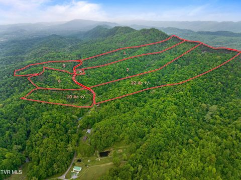 Vacant Land For Sale - TRACT 5 Sandy Valley Road<br/> Rogersville, TN 37857