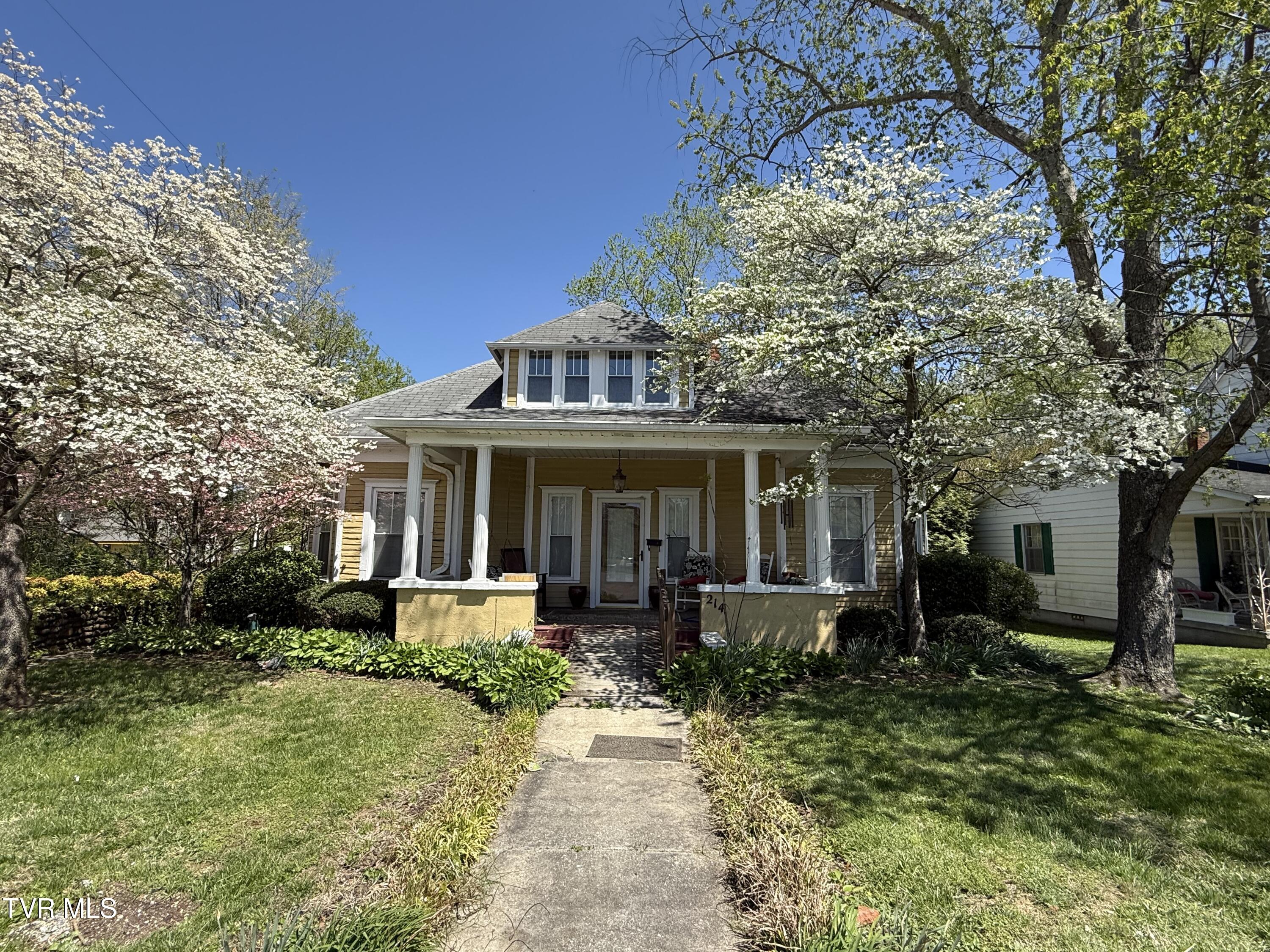 214 Sycamore Street, Elizabethton, Tennessee image 3